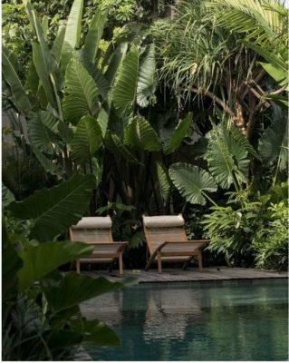 galeria-naturaleza-punta-cana (3)