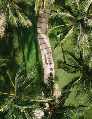 galeria-naturaleza-punta-cana (4)